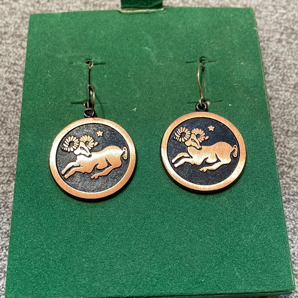 Coppercraft ram wire earrings